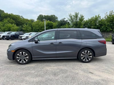 2025 Honda Odyssey Elite